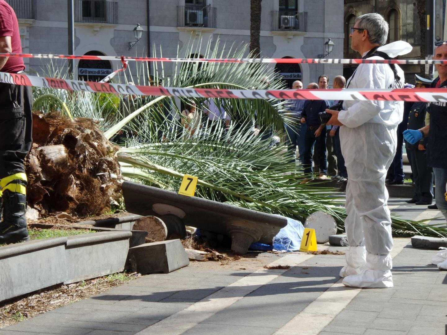 Maltempo Palma Sradicata Dal Vento Donna Muore A Catania Nuova