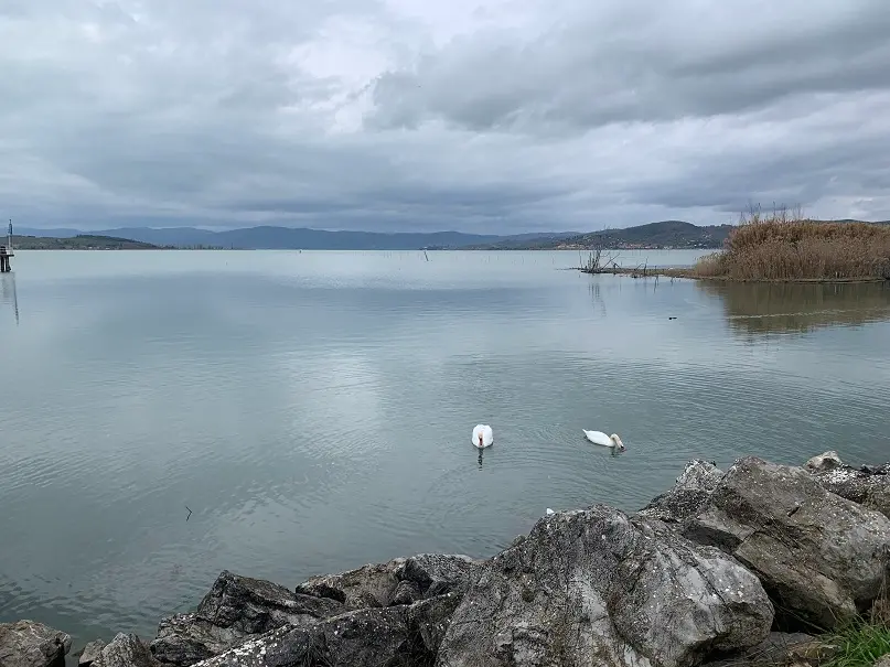 Lago Trasimeno, cosa vedere tra borghi e un'isola 'quasi' disabitata