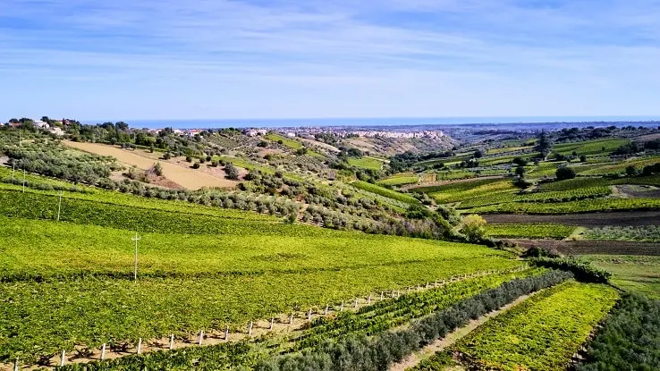 Abruzzo, la rivoluzione del vino incastonato fra mare e monti