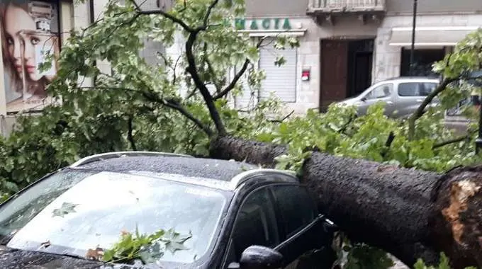 Temporali, grandine e frane al Nord