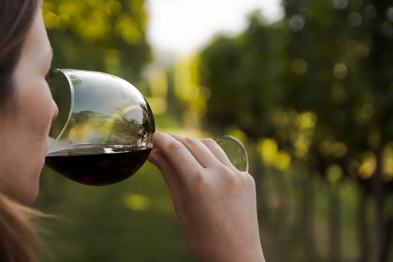 Un vino sempre più internazionale: il segreto del successo è la qualità