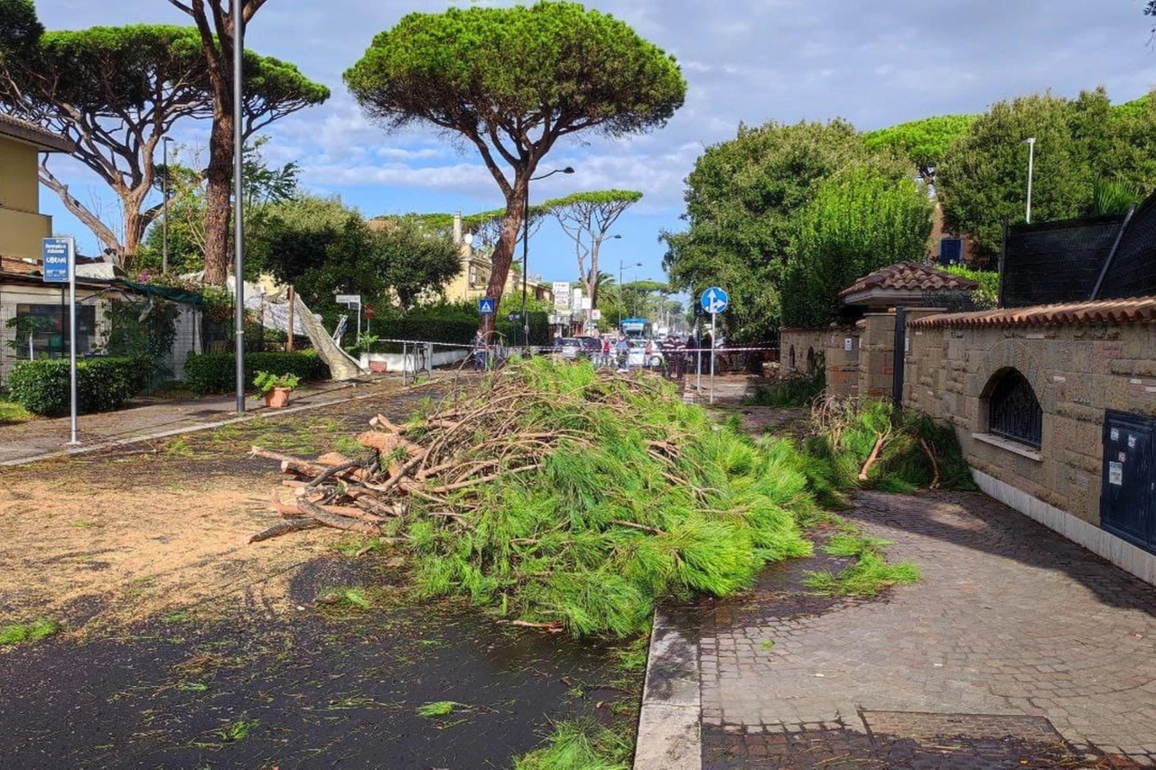 Tromba d'aria a Fregene, alberi caduti e danni