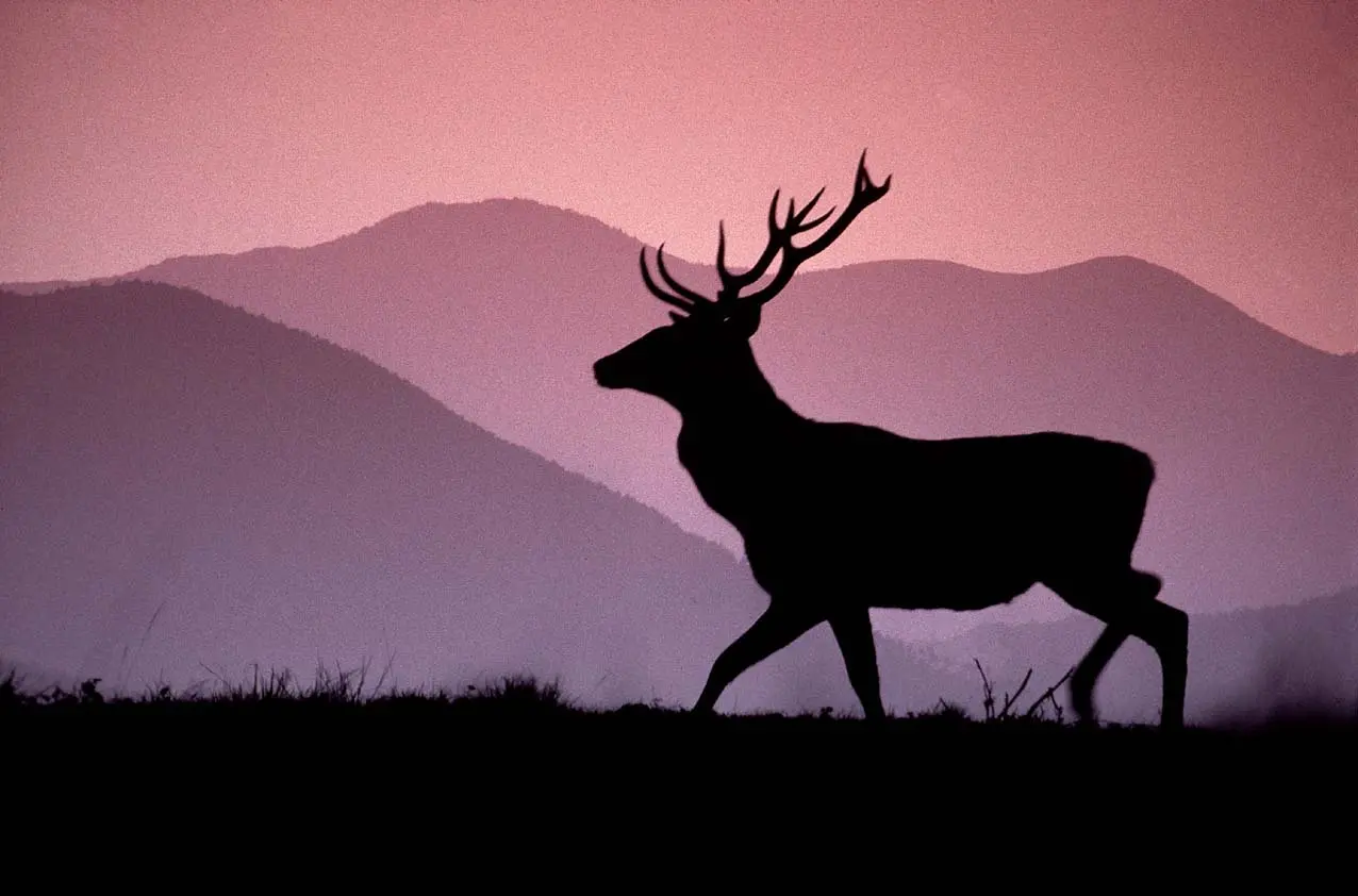 I colori dell'autunno: a piedi lungo l'Appennino per ammirare il foliage