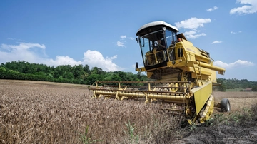 Grano, i prezzi torneranno a salire a causa di guerra, meteo e produzioni in calo