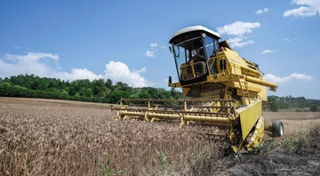 Grano, i prezzi torneranno a salire a causa di guerra, meteo e produzioni in calo