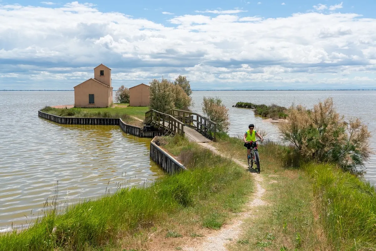 Valli di Comacchio, la nostra Camargue e sua maestà l’anguilla