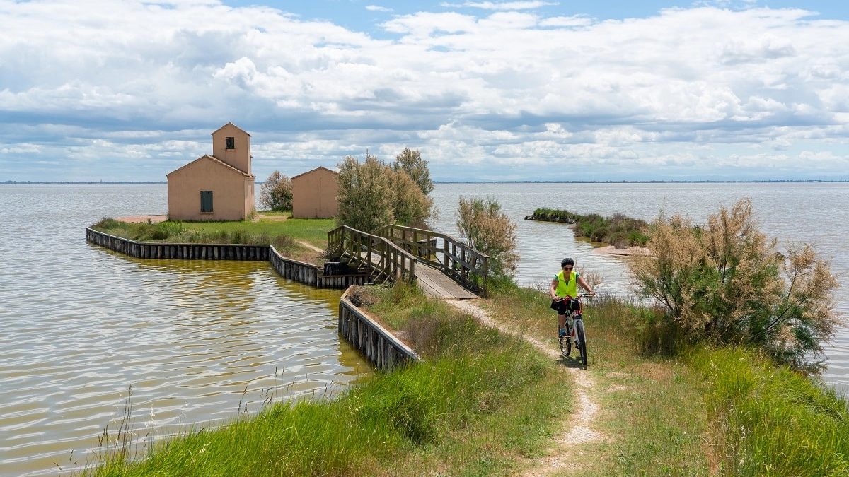 Valli di Comacchio, la nostra Camargue e sua maestà l’anguilla