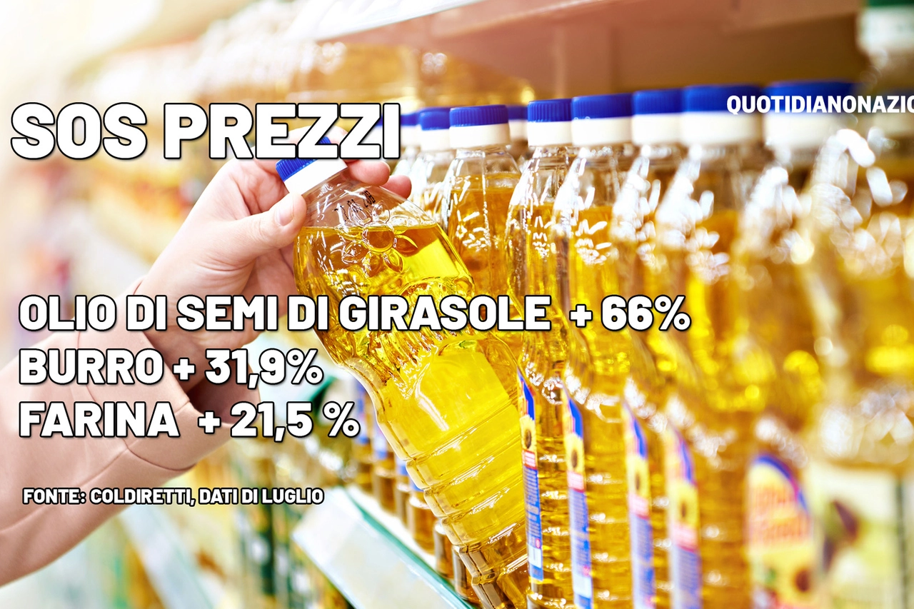 Sos prezzi: corsa folle per olio di girasole, burro e farina