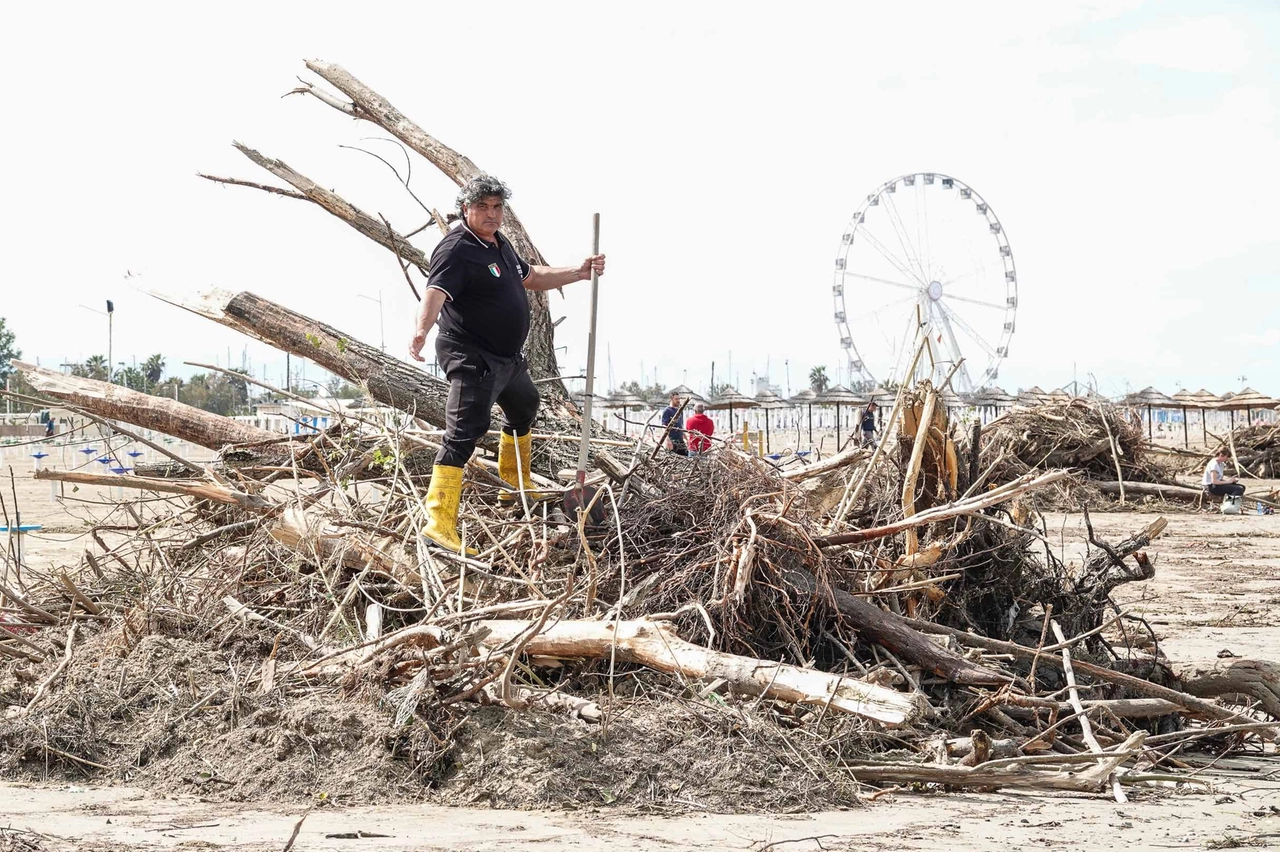 Gabriele Pagliarani, il ’bagnino d’Italia’ dal bagno Tiki 26 di Rimini, sugli alberi in spiaggia