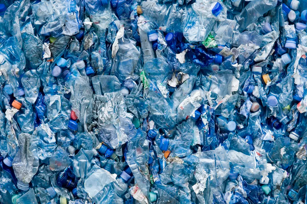 Allarme degli scienziati: i rifiuti plastici stanno distruggendo il Pianeta