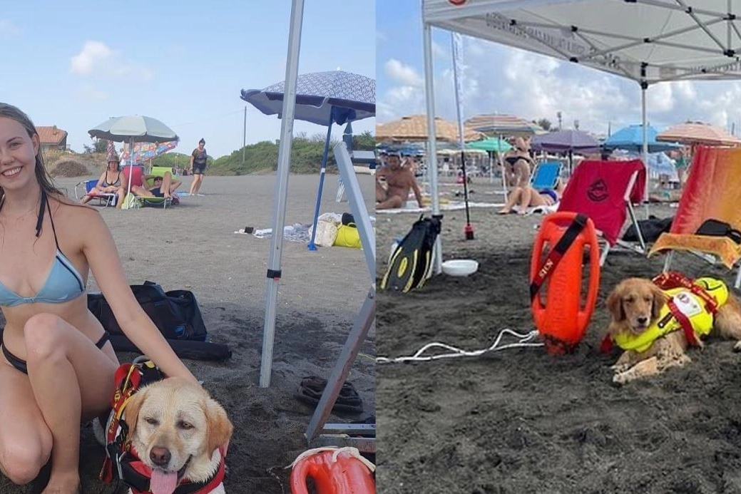 Cani eroi della Sics in azione a Montalto di Castro (Viterbo)