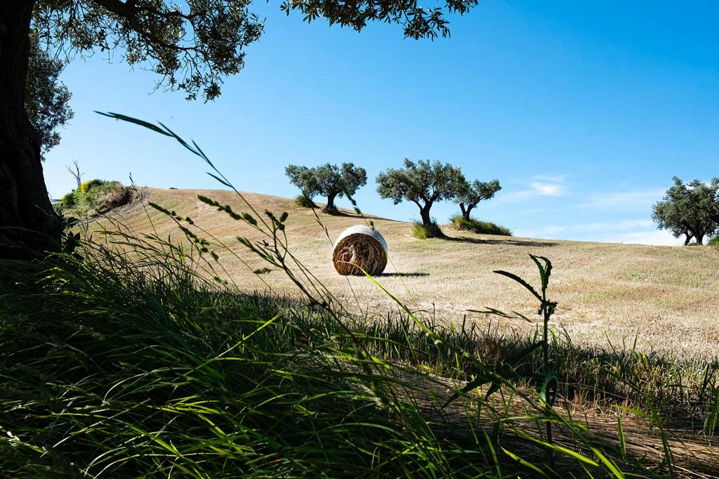 I paesaggi lungo il cammino Kalabria coast to coast sono molto variegati