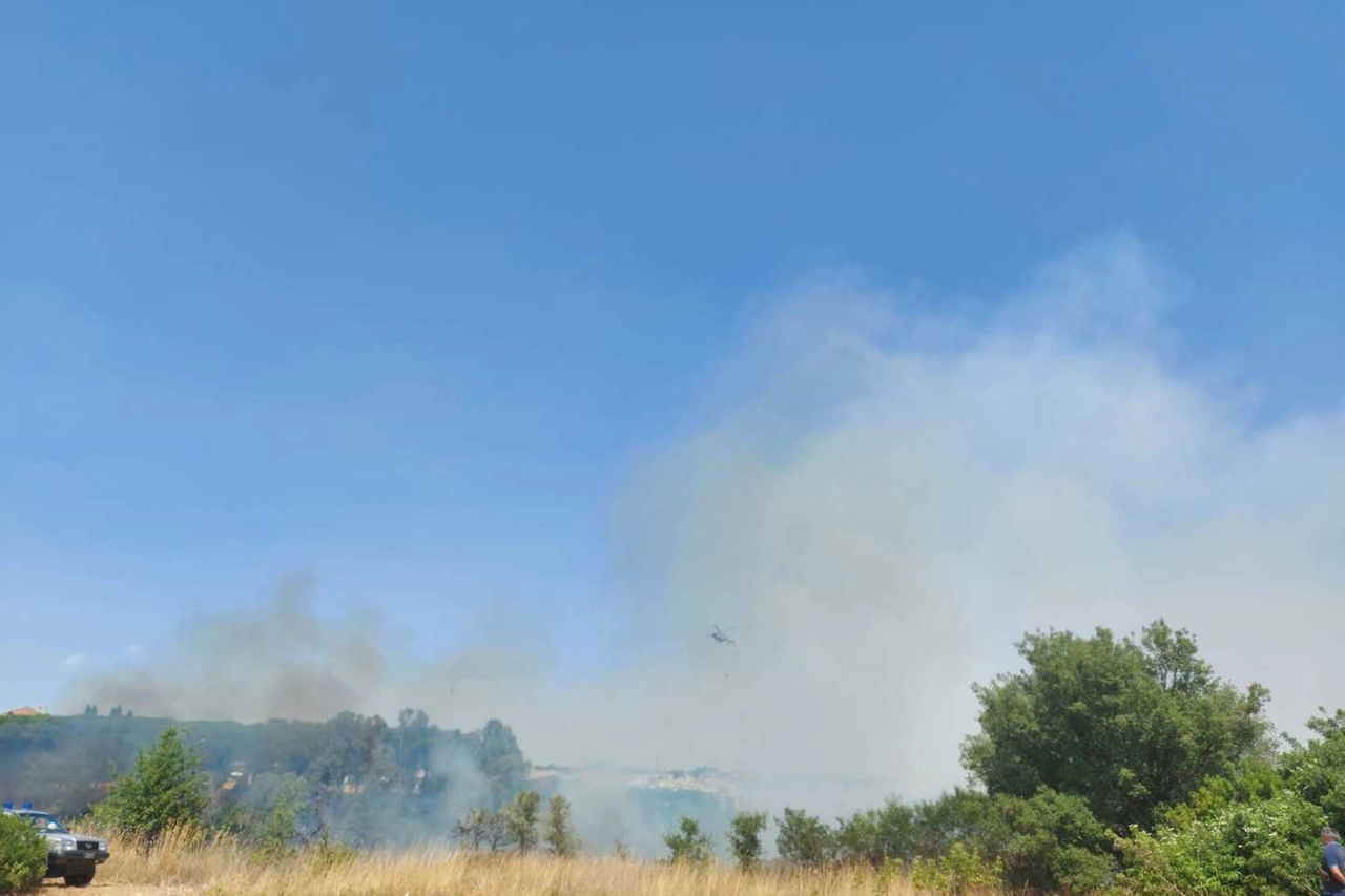 Incendio di sterpaglie in via della Pineta Sacchetti, all'ingresso del parco del Pineto