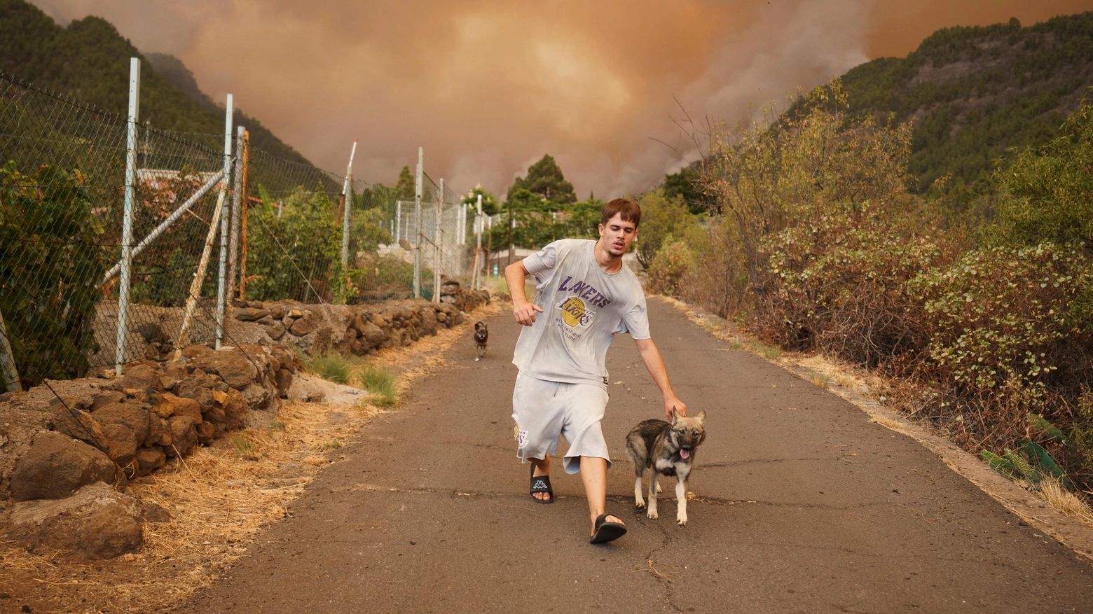 Tenerife: in un incendio distrutti 800 ettari di bosco