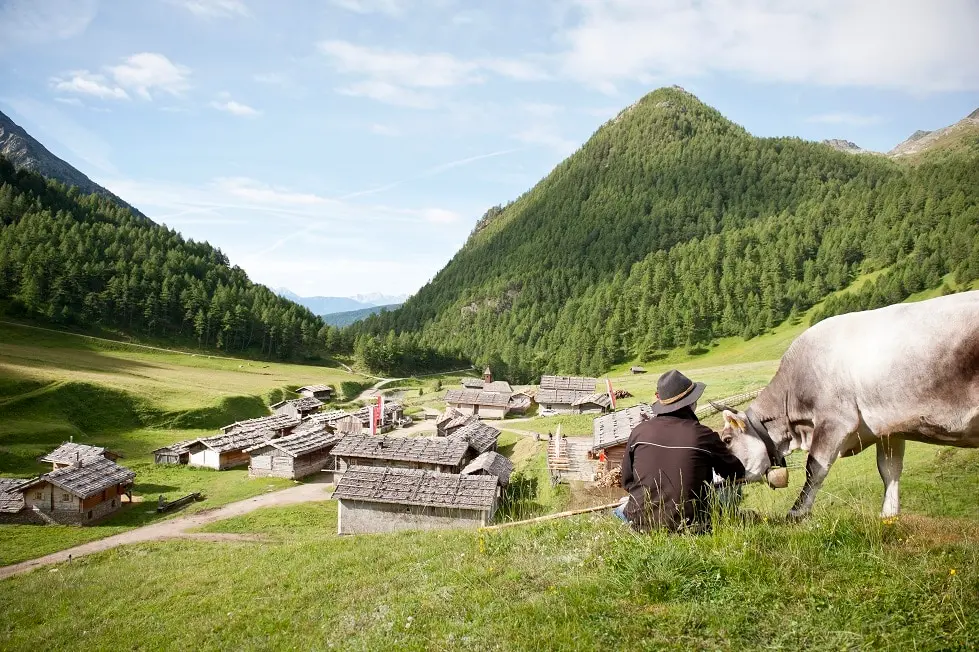 Val Pusteria, una vacanza a tutto formaggio tra malghe e caseifici