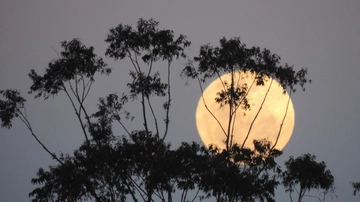 Superluna 1 agosto 2023: riecco la Luna più grande. Perseidi: quando è atteso il picco