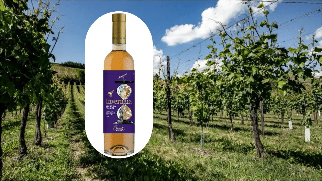 Invernaia Passito Colli di Scandiano e di Canossa Dop, il vino dolce per le Feste