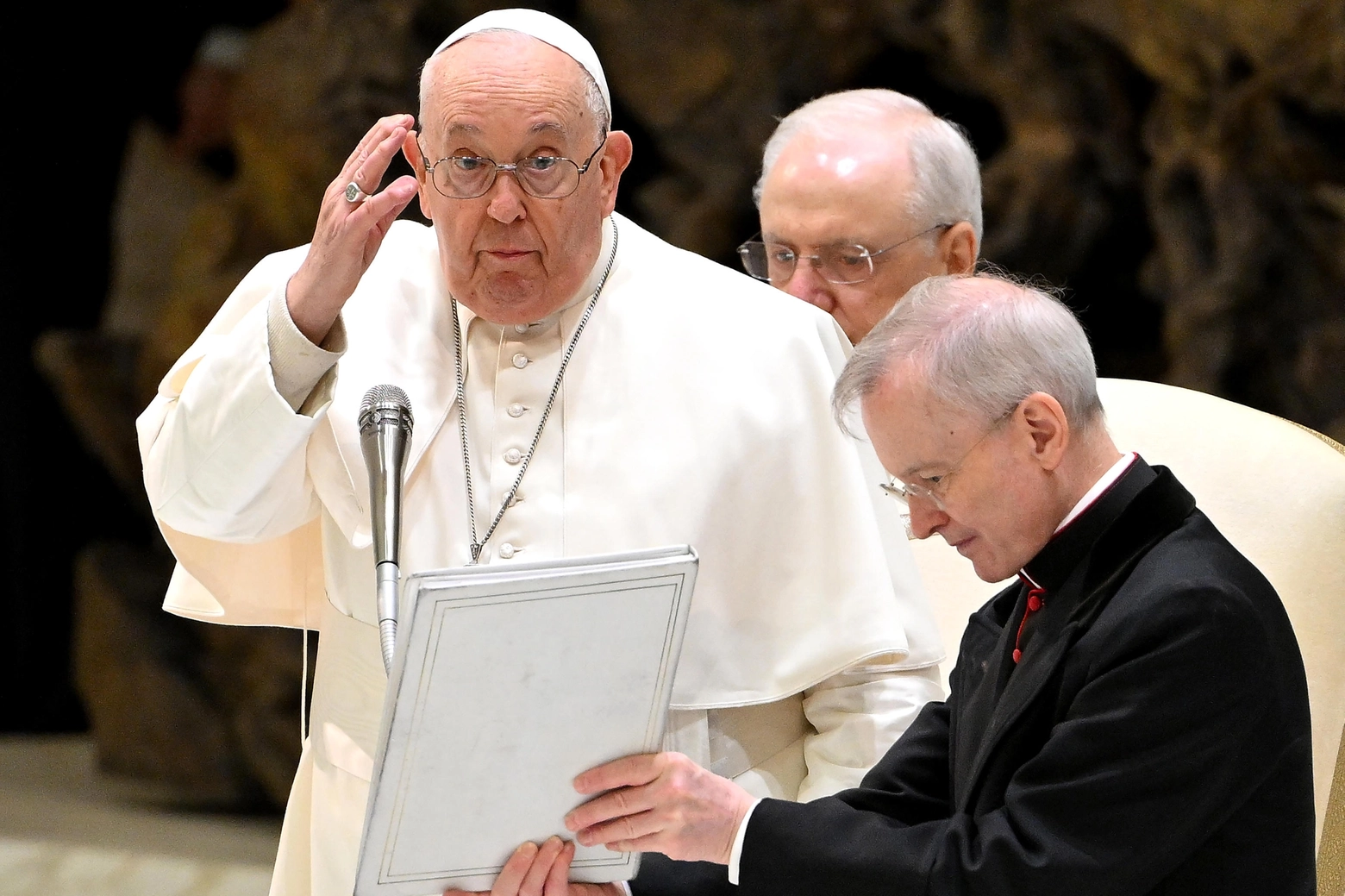 Papa Francesco durante l'udienza generale (Ansa)