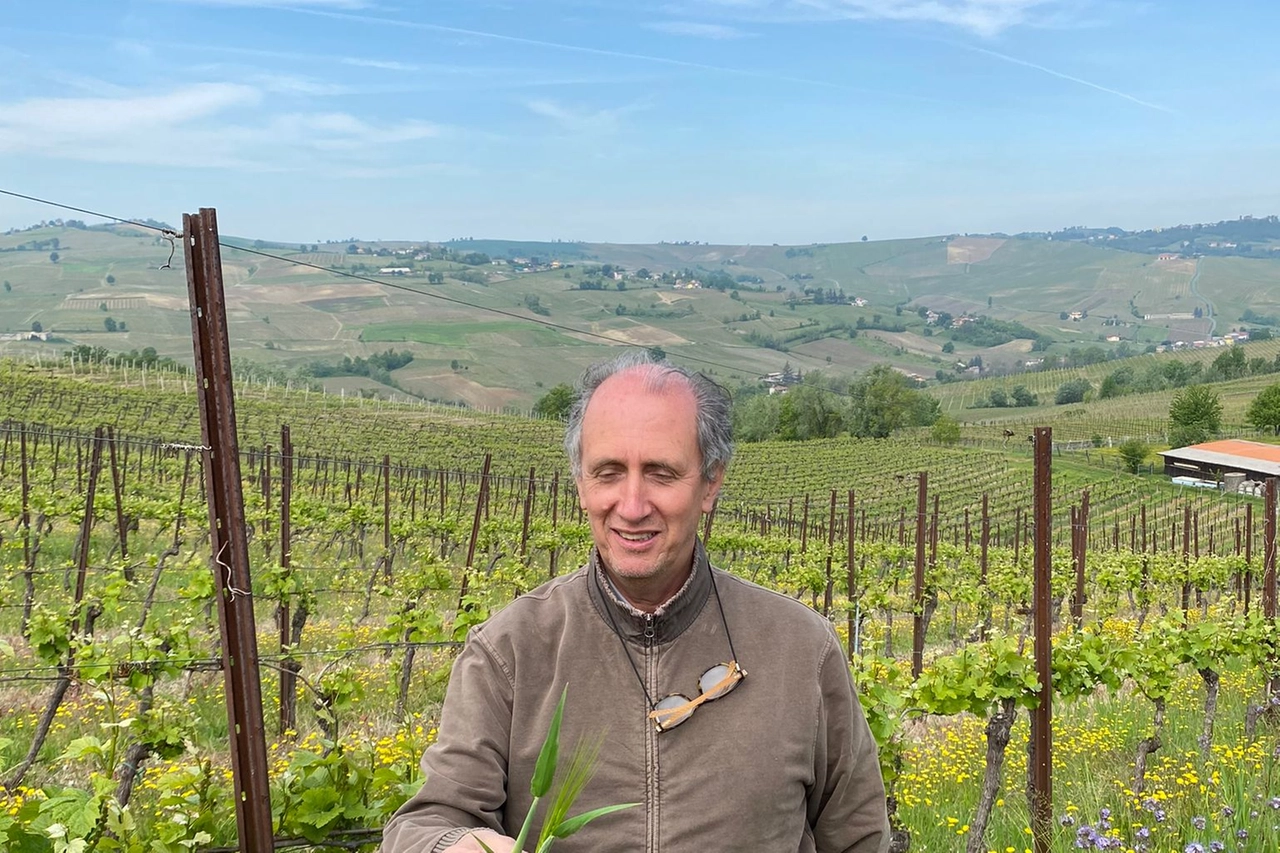 Graziano Rossi, direttore dell'Agri-food sustainability all'università di Pavia, esperto di semi antichi