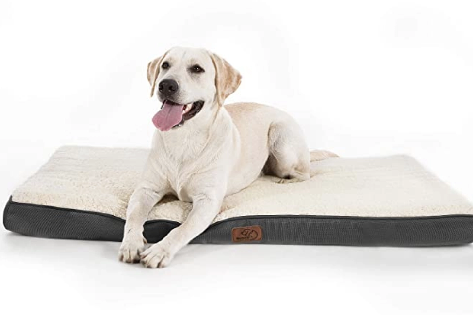 Bedsure Cuscino per Cane Medio  su amazon.it