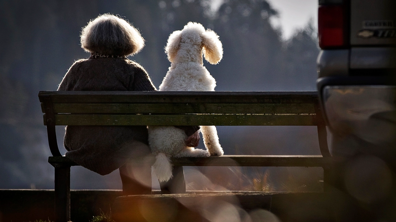 Signora con cane