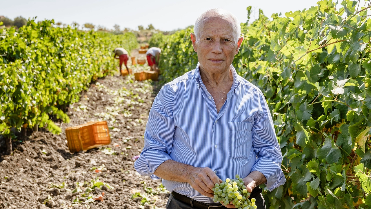 Baglio del Cristo, la forza della Sicilia agrigentina tra dolci colline e brezze marine