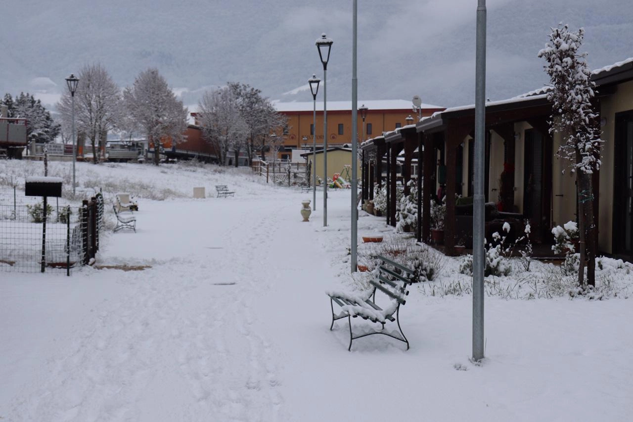 NORCIA_35615645_124346