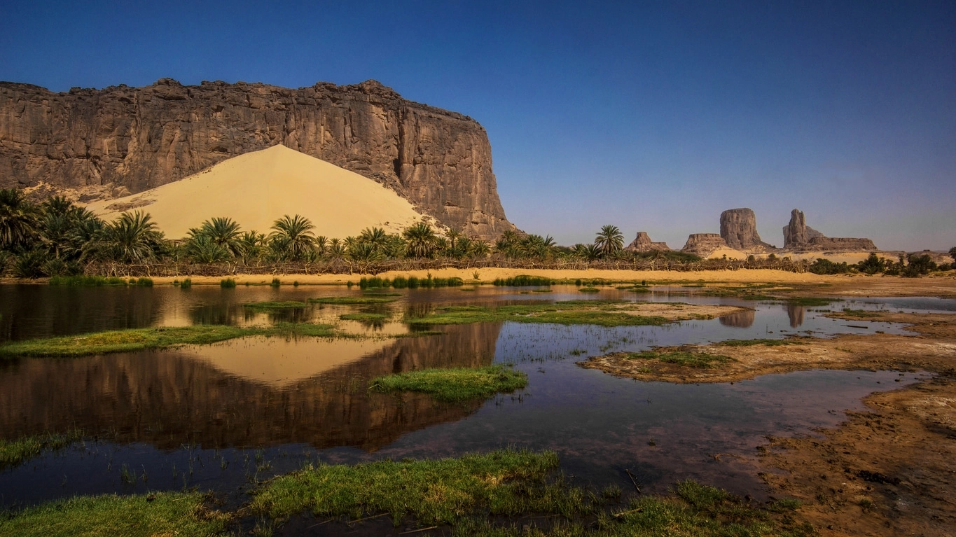 Anoa Oasis, Borkou region, Chad (Tchad)