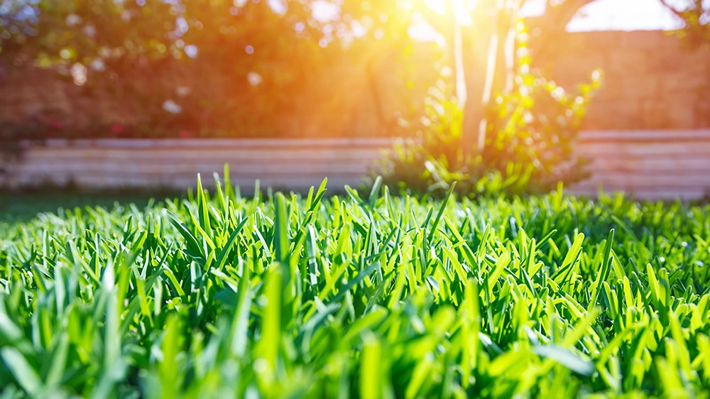 Meteo sabato 28 settembre, sole e clima estivo