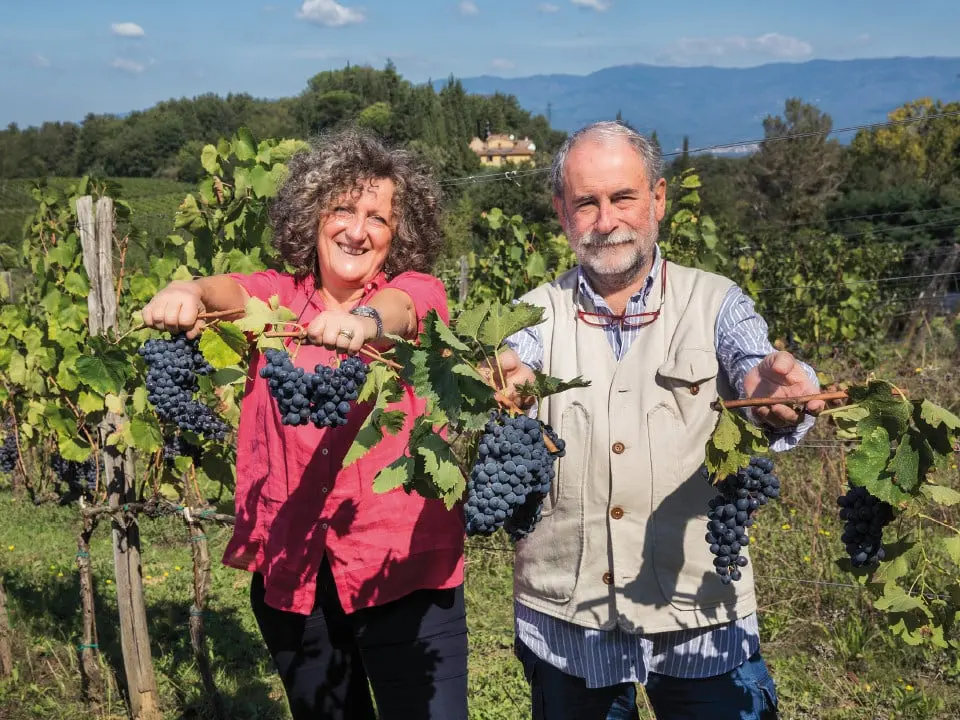 Mannucci Droandi, l'anima bio e rurale della Toscana fra vino e olio