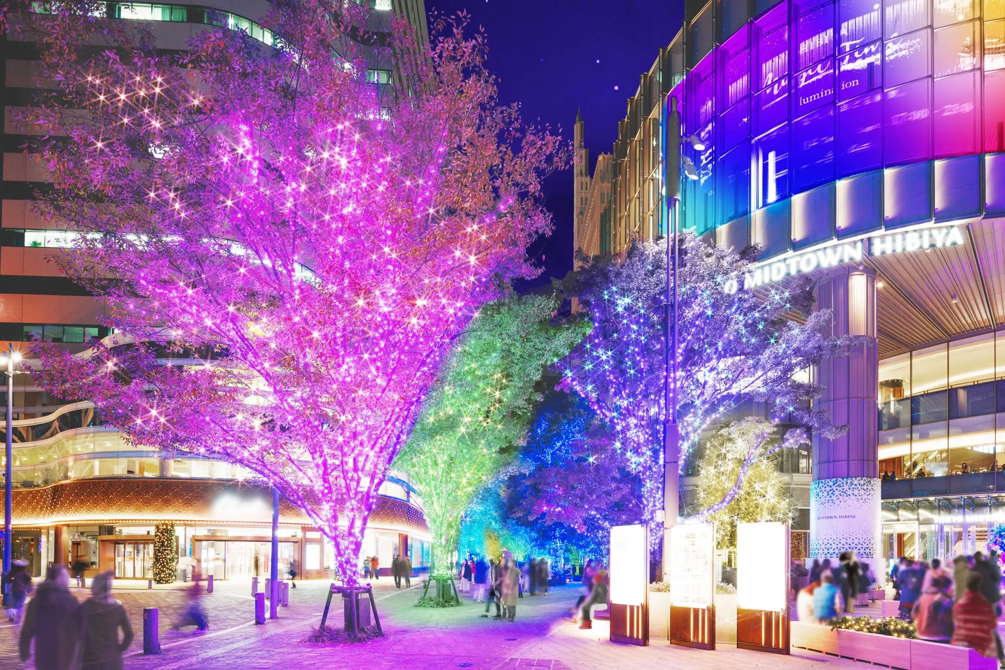 Tokyo d’inverno: Capodanno nei templi, il viale dei ciliegi illuminato e le bancarelle di daruma