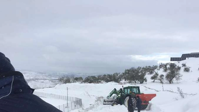 Maltempo: tregua neve in Puglia