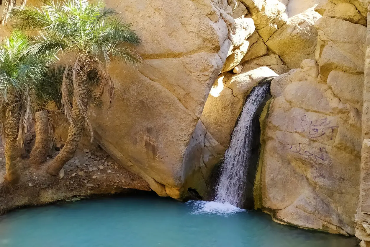 In Tunisia nel Jerid, il paese delle palme con le più grandi oasi dell'Africa