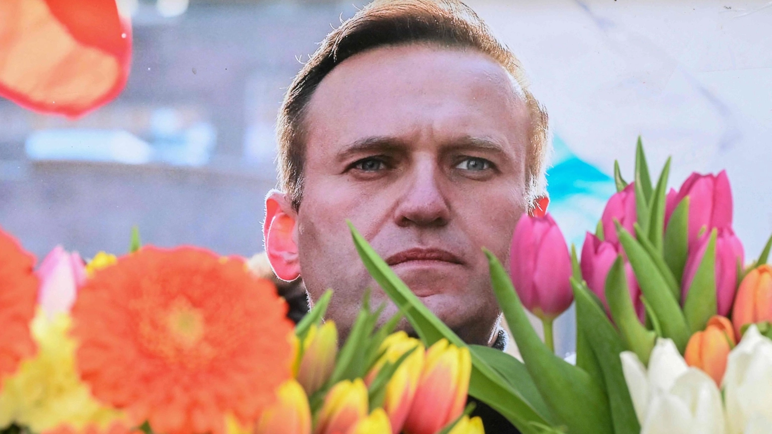 Alexei Navalny (Ansa)