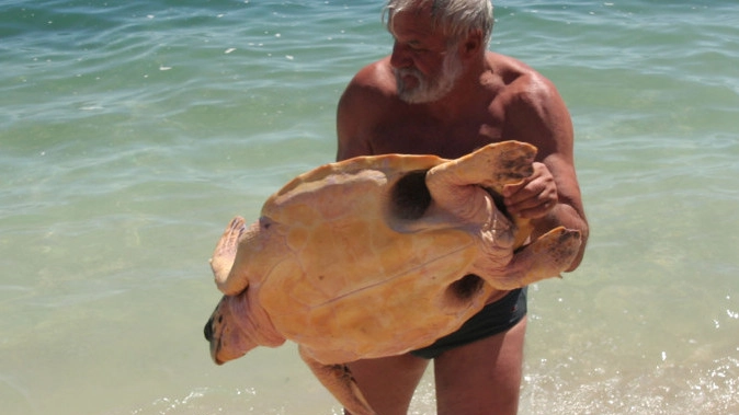 Sauro Pari, il presidente della Fondazione Cetacea, impegnato  a salvare gli esemplari di tartaruga