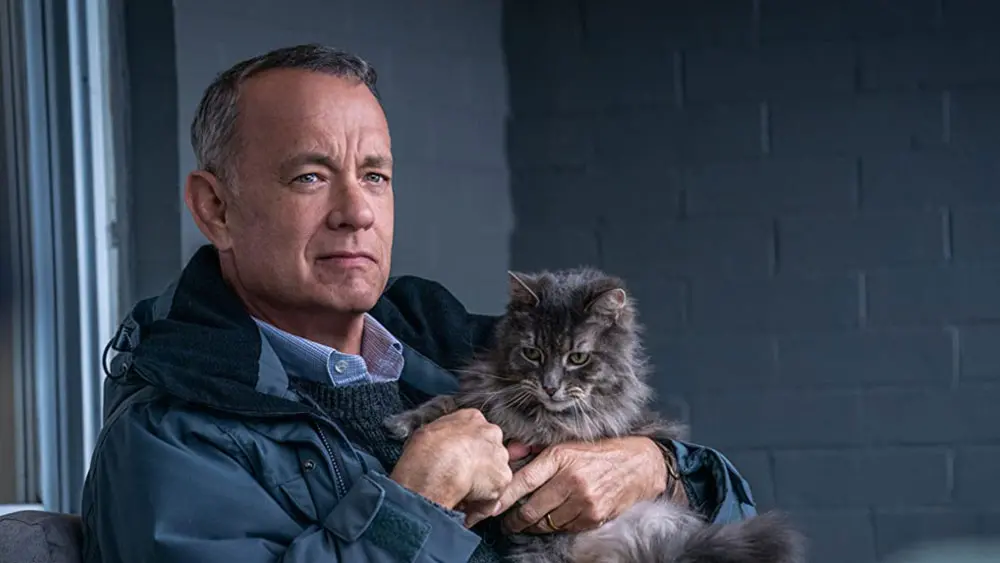 'Non così vicino', il film agrodolce con Tom Hanks