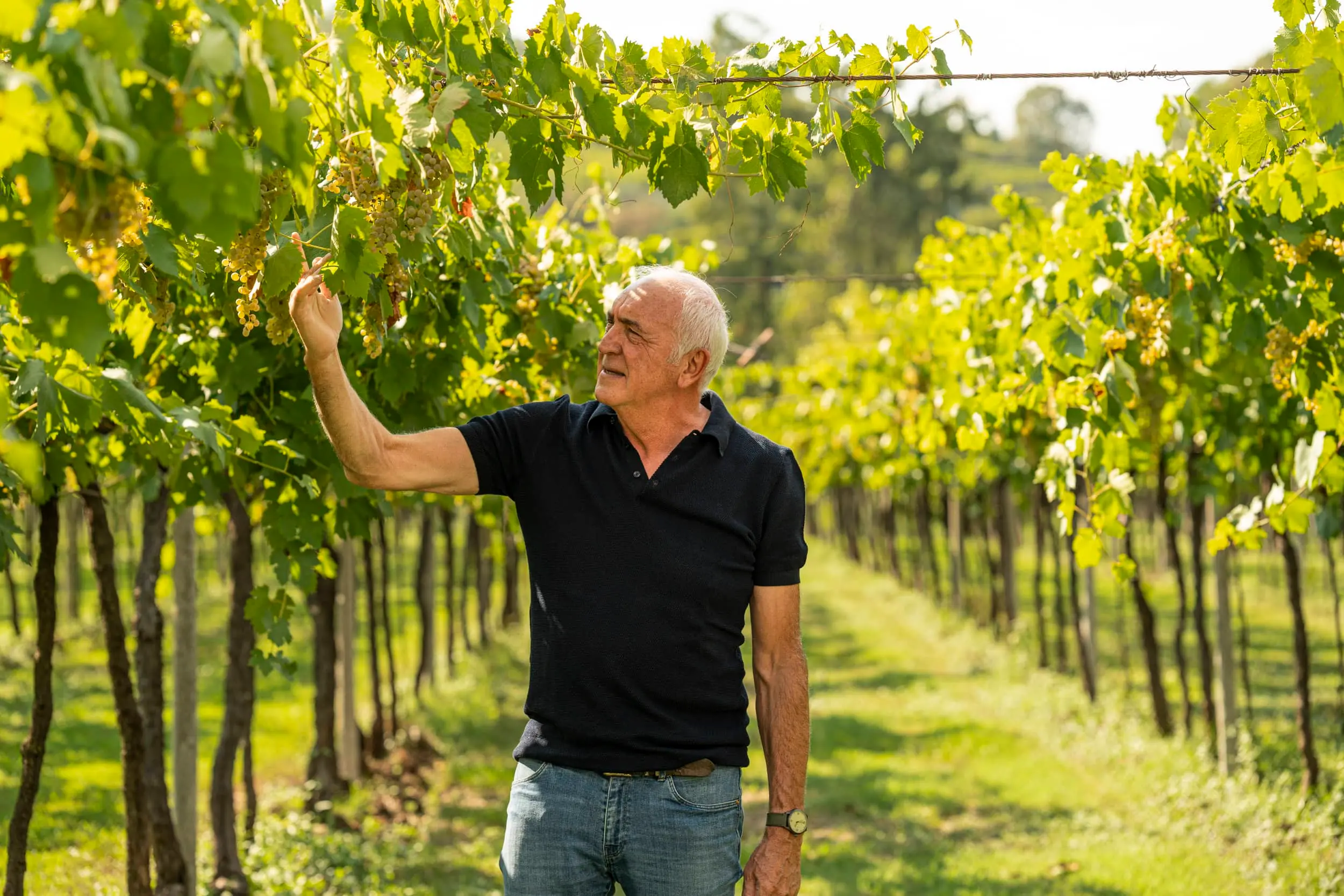 Graziano Prà, la grandezza del Soave in un tappo a vite