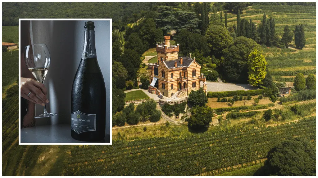 Cuvée 1564 Brut Nature di Castello Bonomi: l'impronta dell'Erbamat nel Franciacorta del futuro