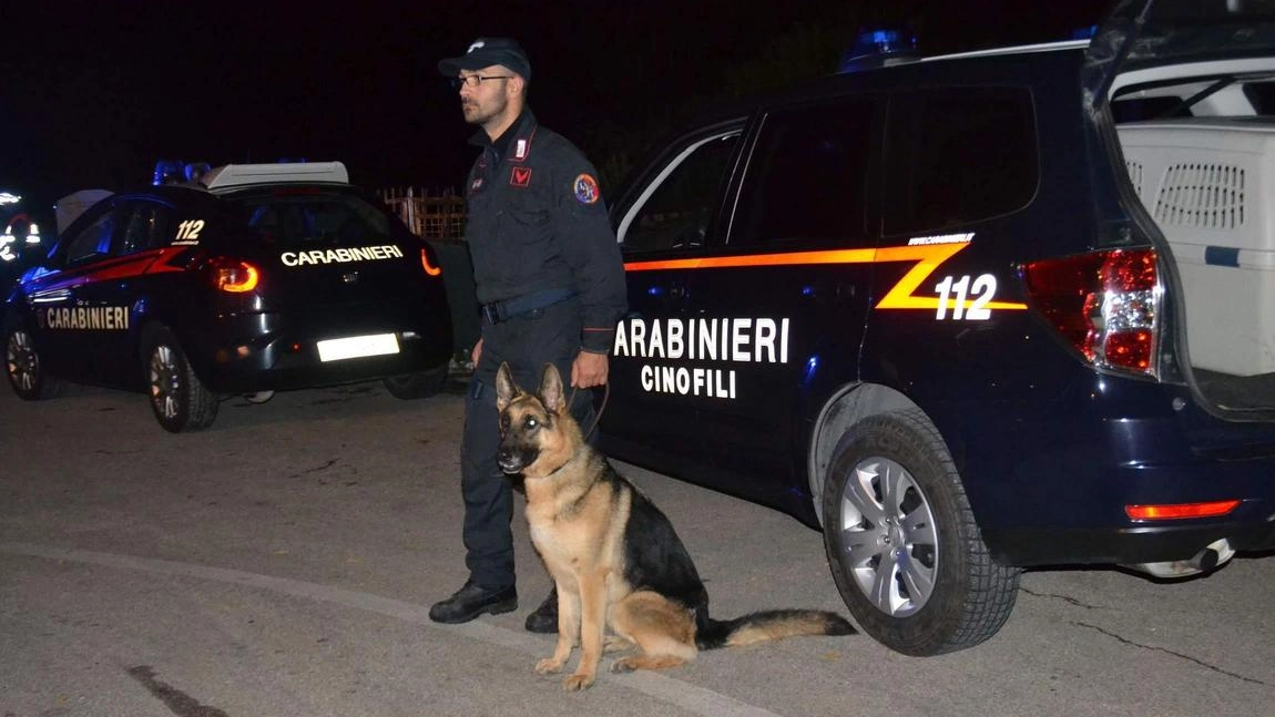Maxi sequestro di cocaina dei carabinieri (foto d'archivio)