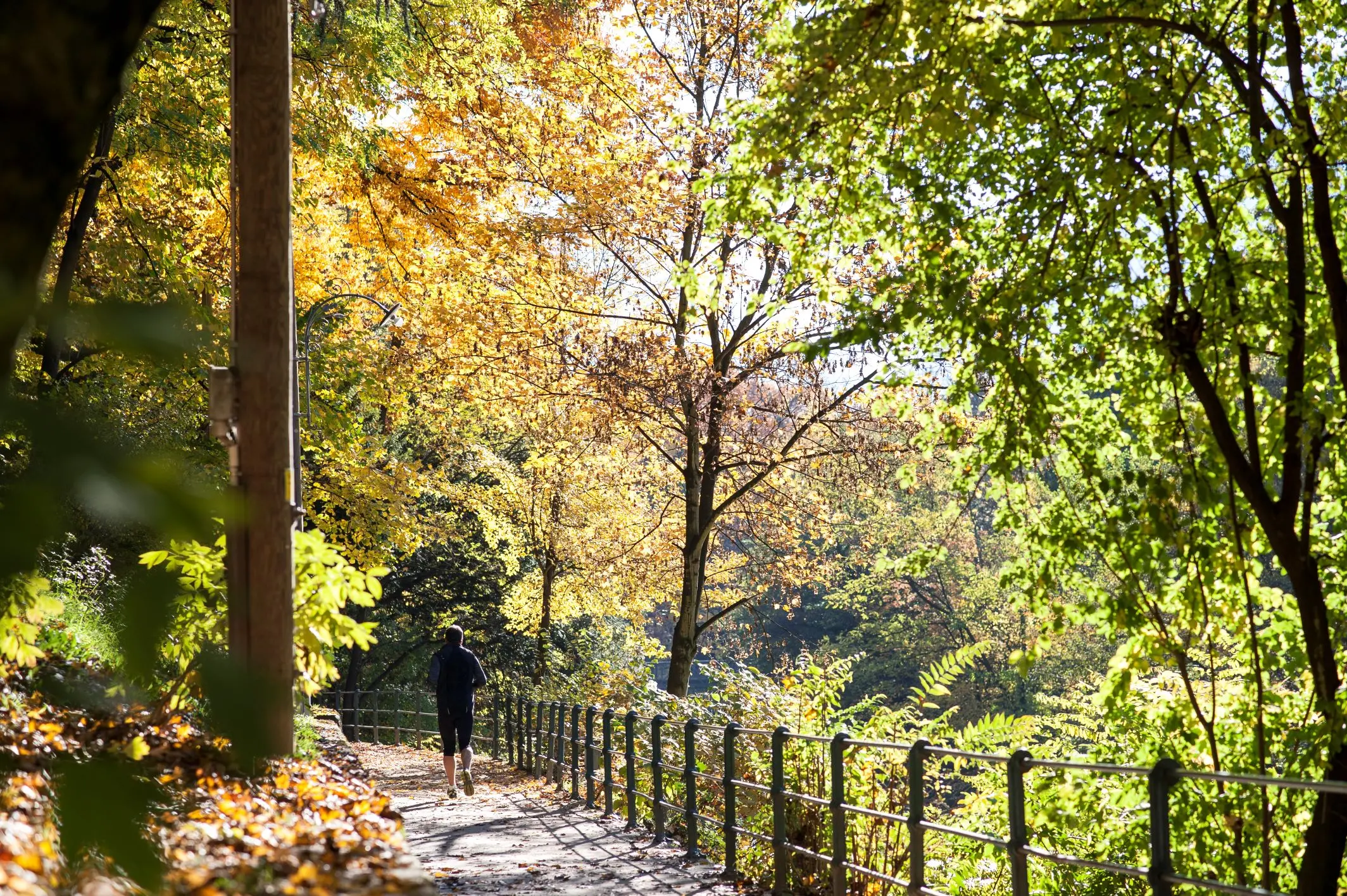 Merano, a passeggio sulle orme dell’imperatrice Sissi