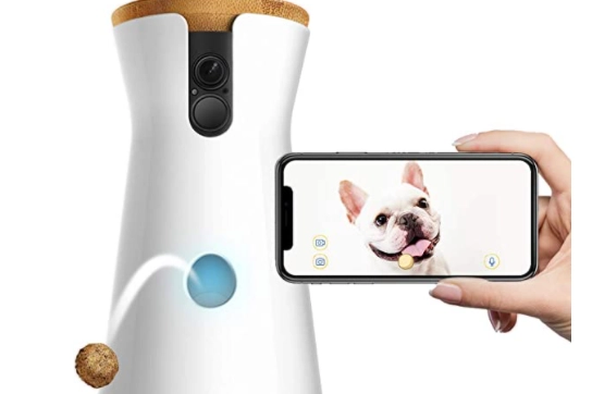 Furbo - VIDEOCAMERA per Cani su amazon.com