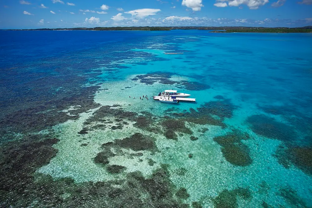 Caraibi, viaggi sostenibili a Antigua e Barbuda (dove si nuota con i maialini)