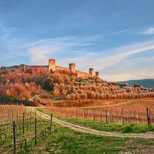 Toscana, sulle antiche vie dei pellegrini a piedi, a cavallo oppure in bicicletta