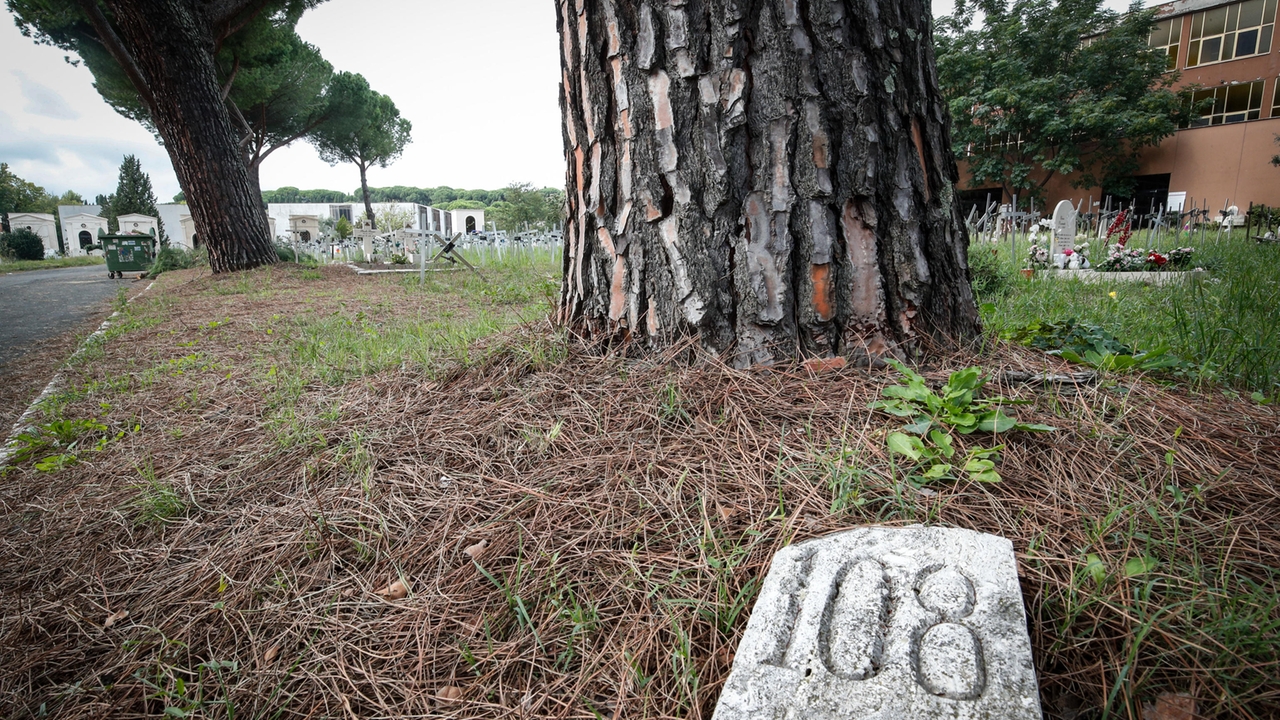 Cimitero Flaminio