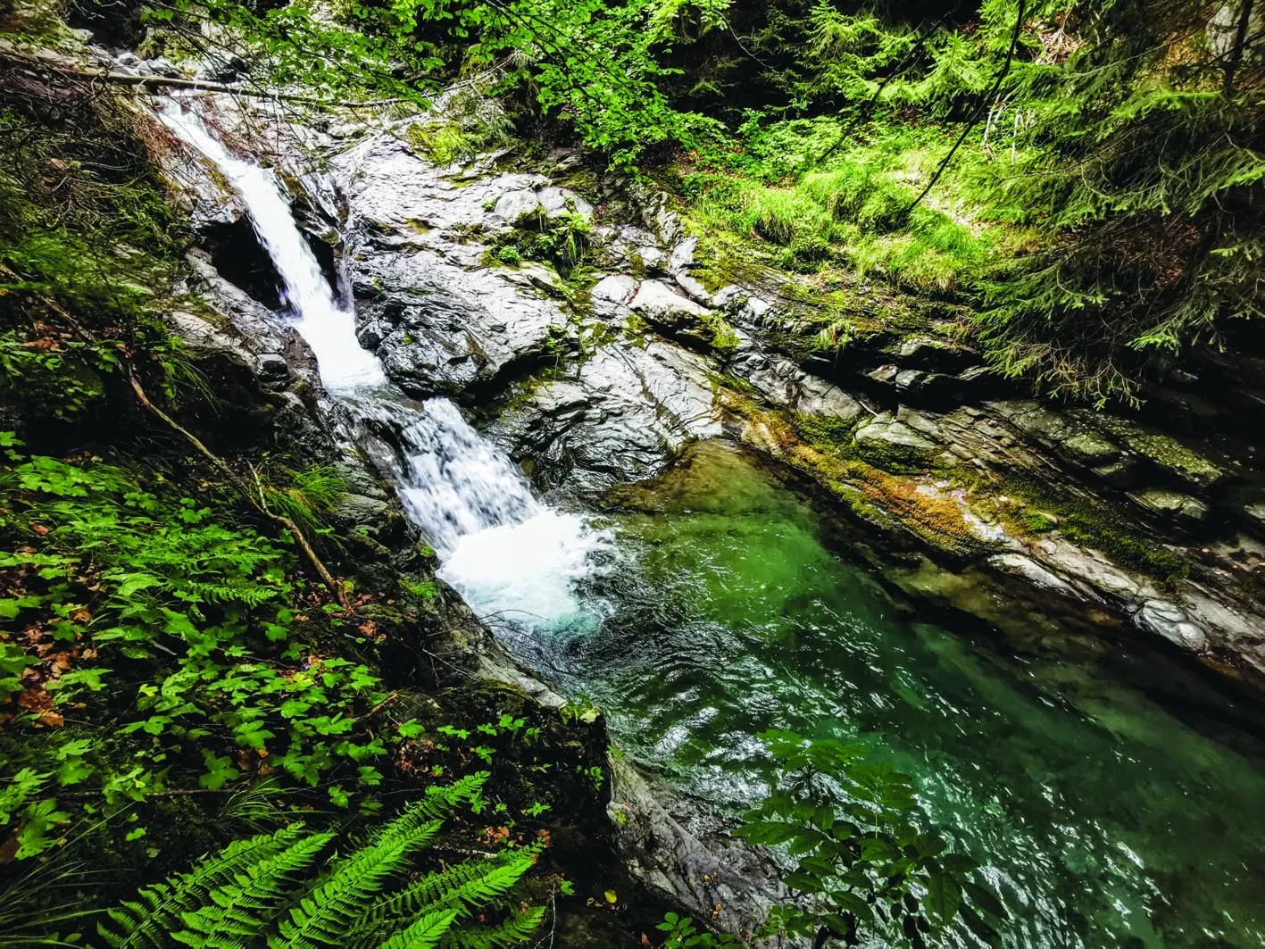 Il sentiero delle cascate di Sant'Annapelago nel Parco del Frignano