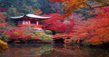 Viaggiare in Giappone restando in Italia: Ryokan, giardini e musei