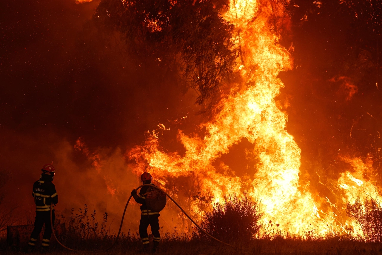 L'Italia brucia: chi sono gli incendiari e perché lo fanno?