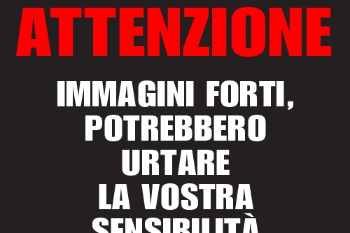 Attenzione, immagini forti