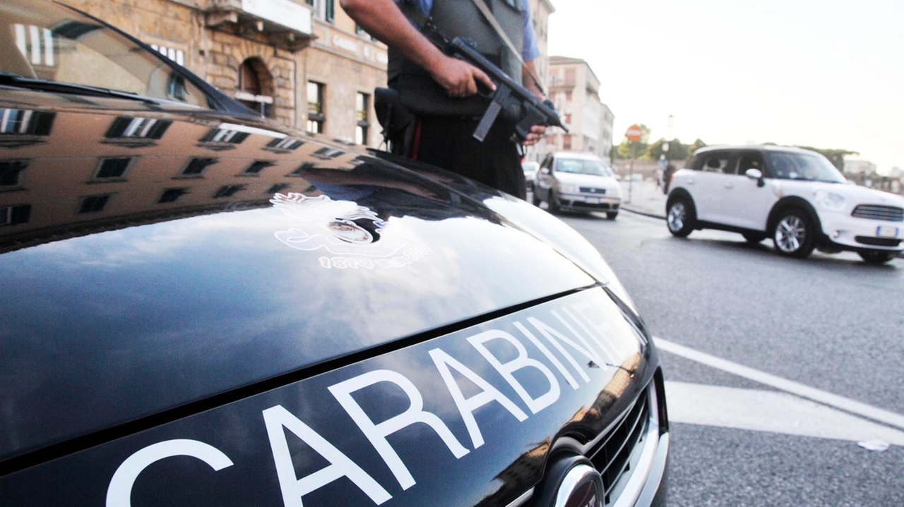 Carabinieri (Foto di repertorio Novi)