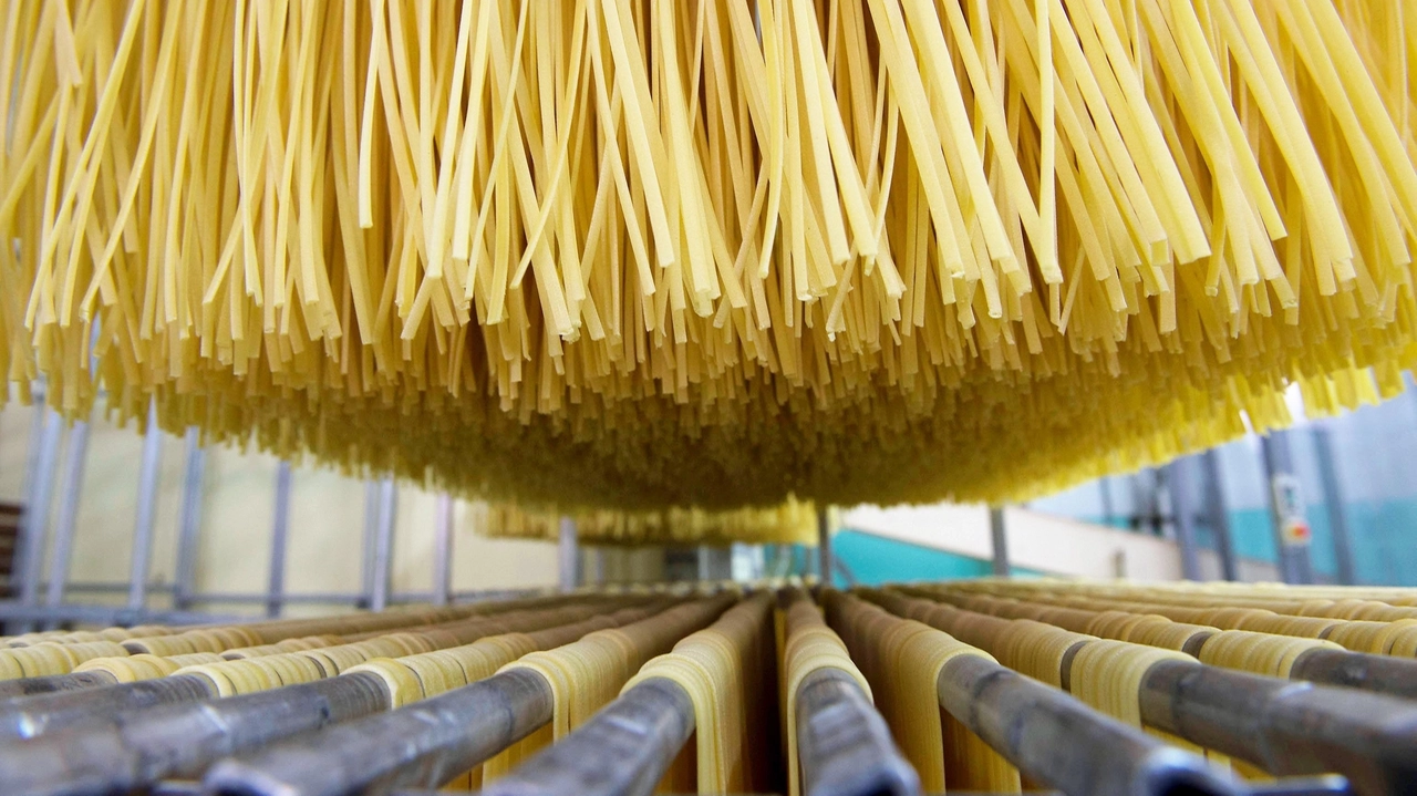 Falsa pasta di Gragnano scoperta nel Napoletano